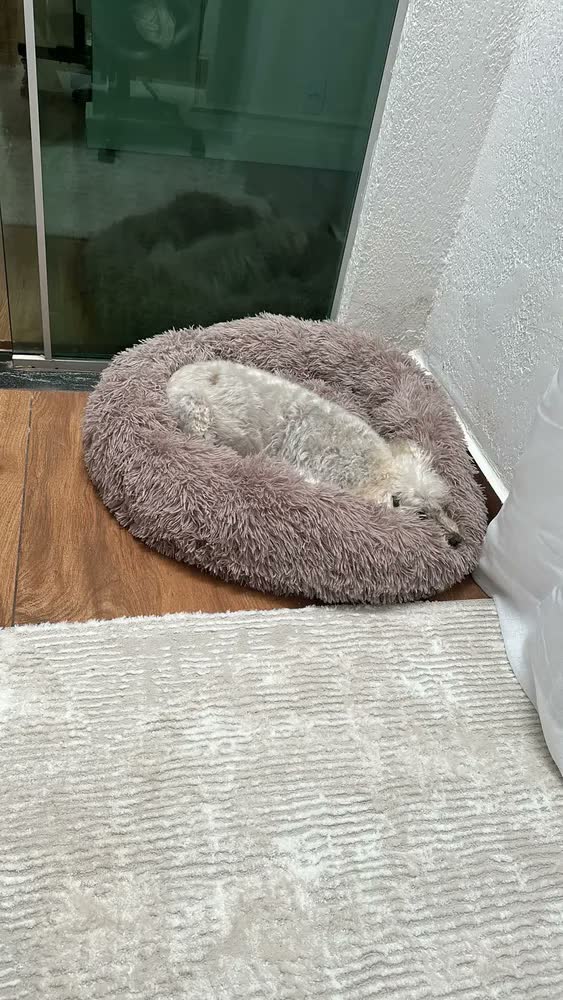 foto de Cama Nuvem Pet Luxo Redonda Pelúcia 80cm Caminha G Cães