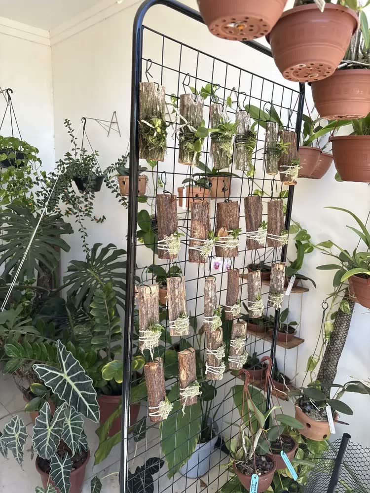 foto de Biombo De Chão Aramado Expositor De Piso Reforçado Desmontável Cor Preto