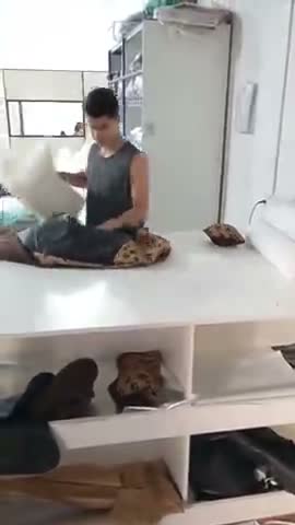 vídeo do produto