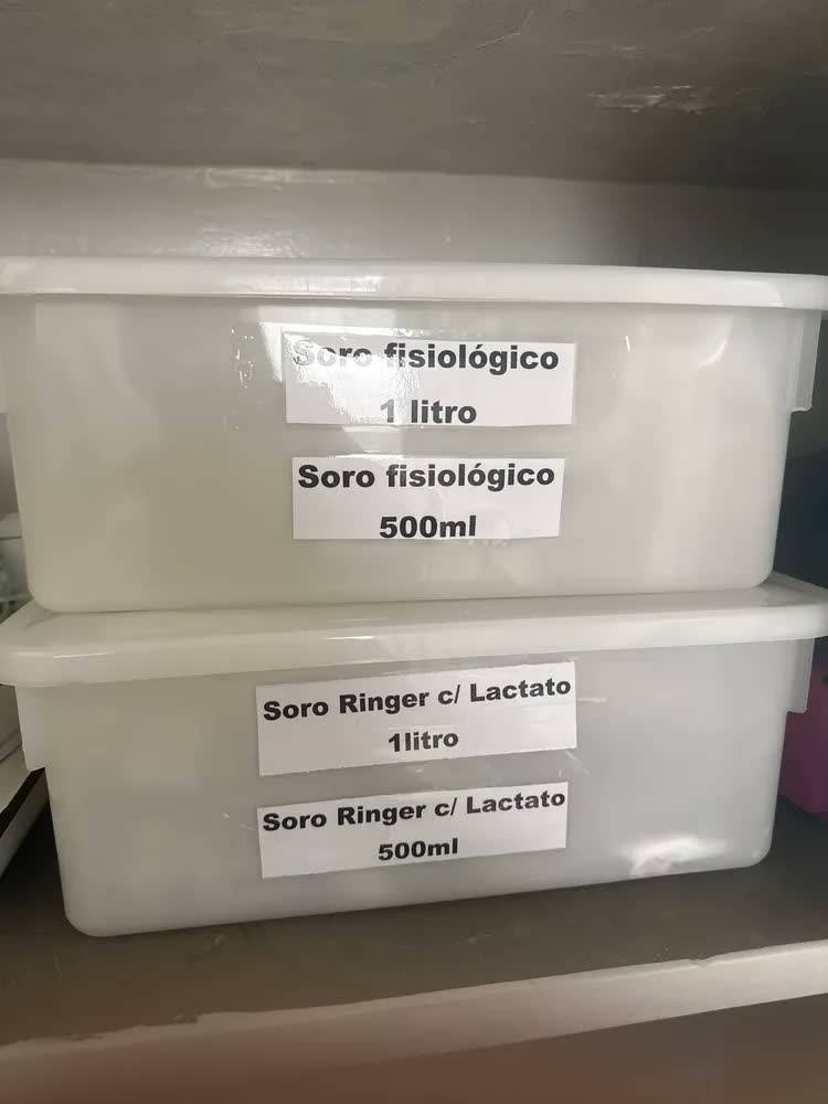 foto de Kit 2 Caixas Organizadoras Plástico Tampa Branca 16,5L Pleion