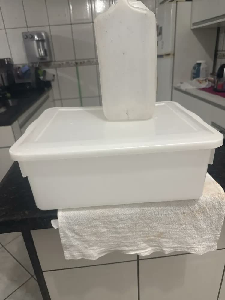 foto de Kit 2 Caixas Organizadoras Plástico Tampa Branca 16,5L Pleion