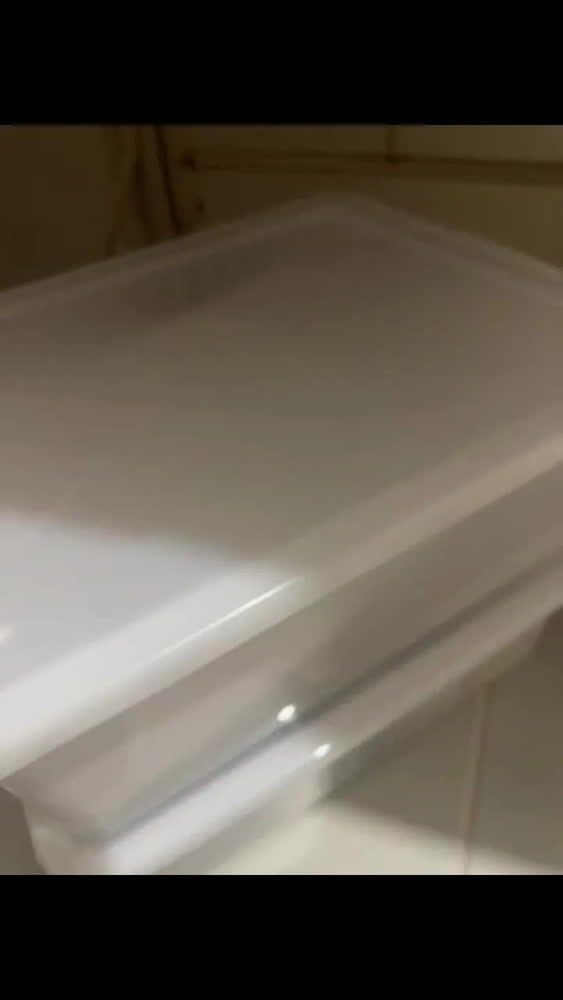 foto de Kit 2 Caixas Organizadoras Plástico Tampa Branca 16,5L Pleion