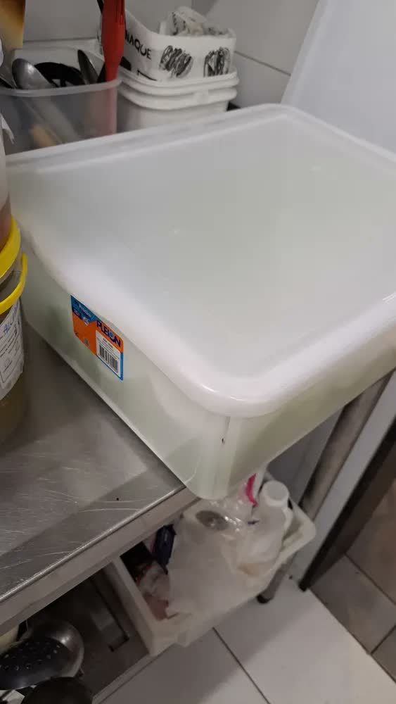 foto de Kit 2 Caixas Organizadoras Plástico Tampa Branca 16,5L Pleion