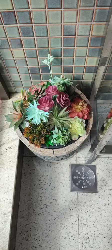 foto de 3 Vasos Cuia Grandes Pretos 31cm,6,6l Para Rosa Do Deserto.