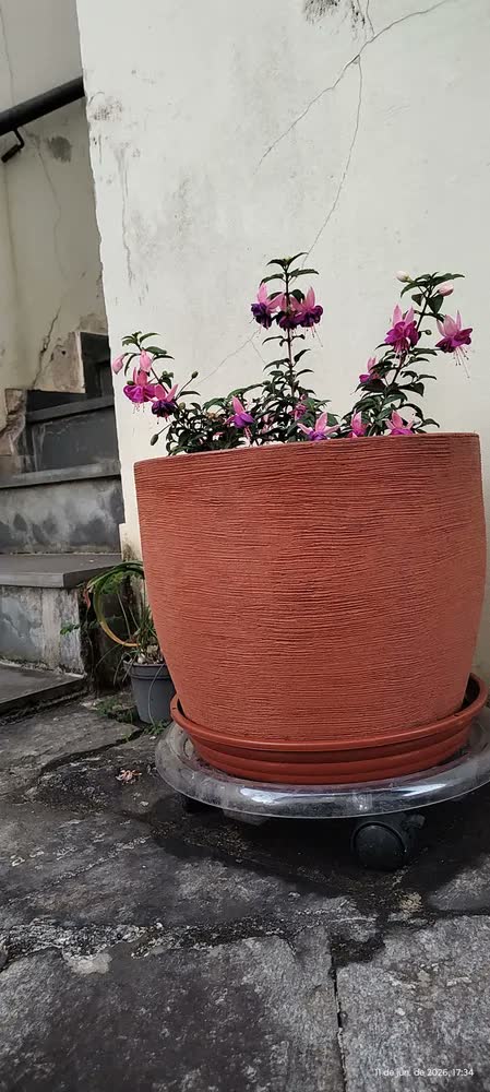 foto de Vaso Polietileno Redondo Bojo Alt 30cm X Boca 34cm + Prato
