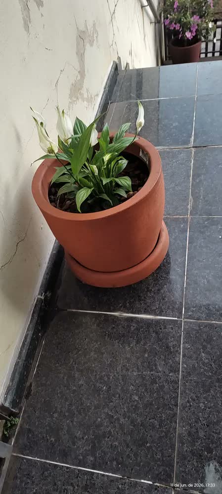foto de Vaso Polietileno Redondo Bojo Alt 30cm X Boca 34cm + Prato
