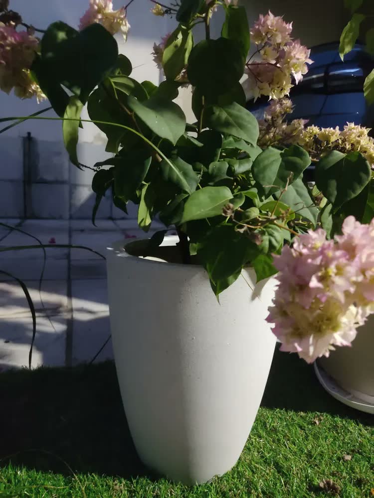 foto de Vaso Polietileno Redondo Bojo Alt 30cm X Boca 34cm + Prato