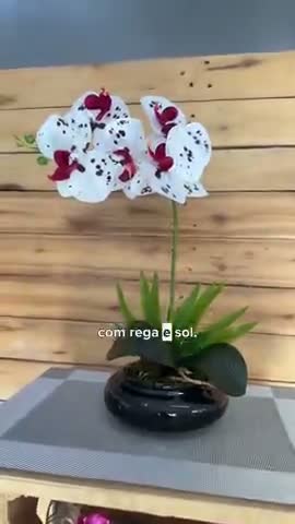 vídeo do produto