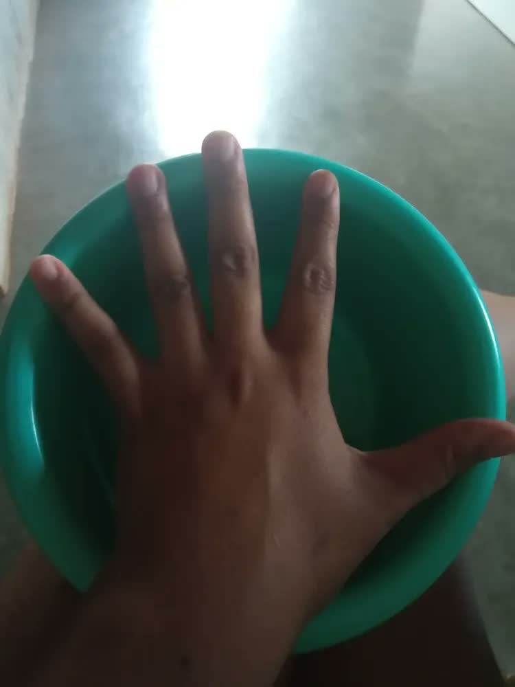 foto de Kit 2 Pote Ração Pet Água - Comida Gato E Cães Grande Médio