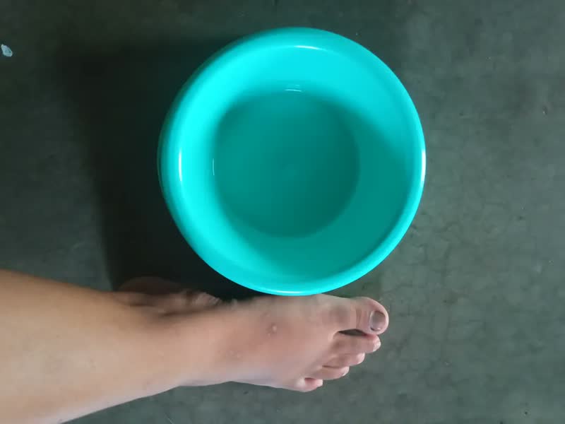 foto de Kit 2 Pote Ração Pet Água - Comida Gato E Cães Grande Médio