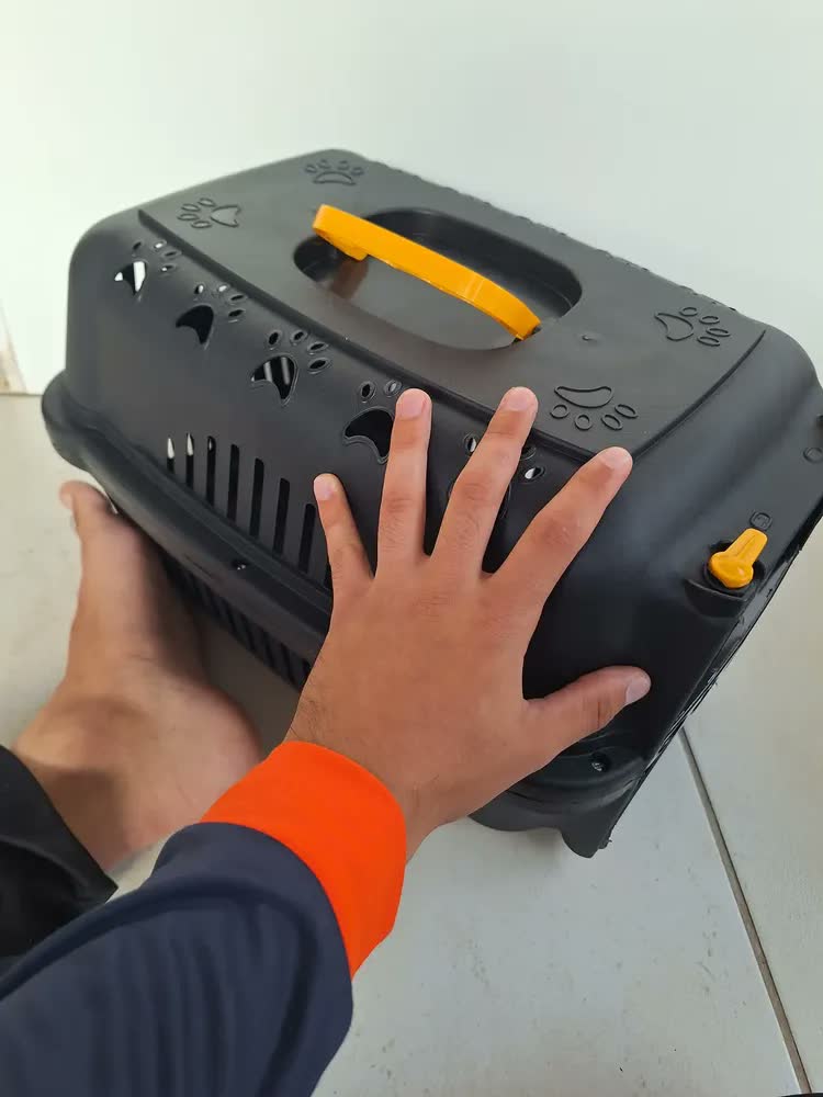 foto de Caixa De Transporte Cachorro Gato Coelho N1 Pequeno Porte