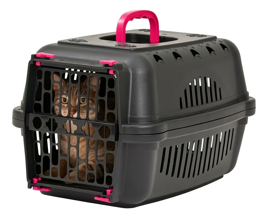 Caixa De Transporte Cachorro Gato Coelho N1 Pequeno Porte