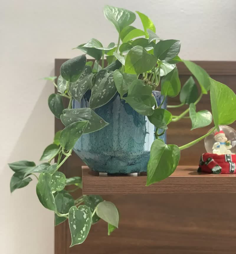 foto de Vaso Cachepot P/ Plantas Cerâmica Esmaltado - Eugenia N.2