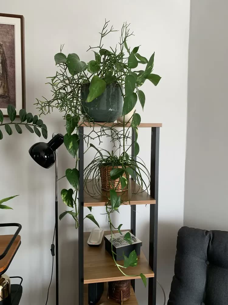 foto de Vaso Cachepot P/ Plantas Cerâmica Esmaltado - Eugenia N.2