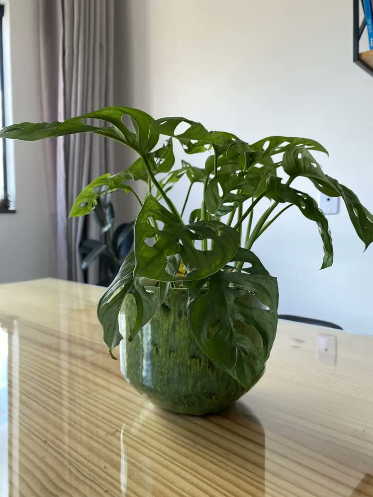 foto de Vaso Cachepot P/ Plantas Cerâmica Esmaltado - Eugenia N.2