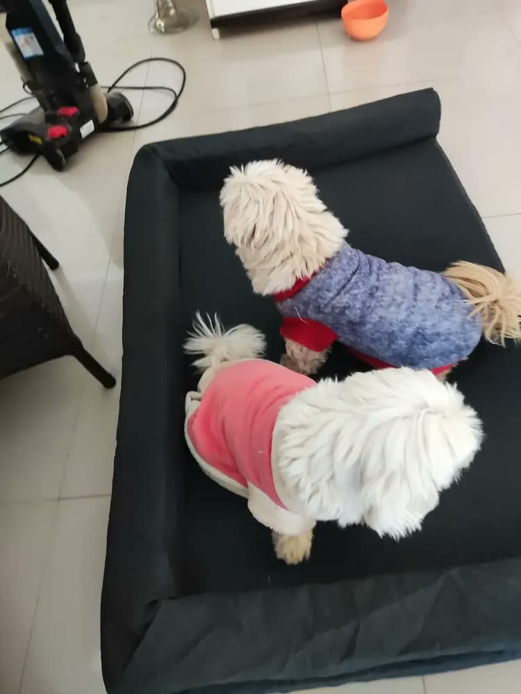 foto de Cama Pet Para Cachorro Grande 120x80 Resistente Impermeável