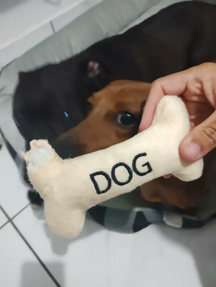 foto de Cama Pet Extra Grande Cachorro Gato  Xg Fundo Impermeável