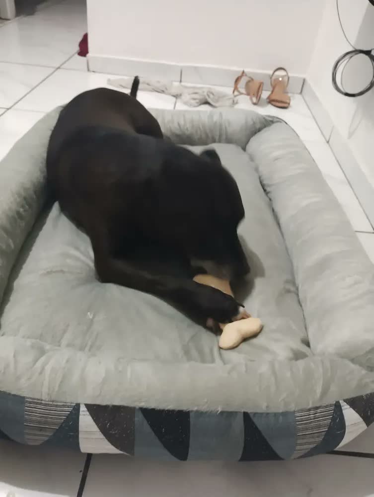 foto de Cama Pet Extra Grande Cachorro Gato  Xg Fundo Impermeável