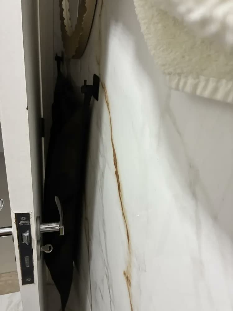 foto de Cesto Saco Roupa Suja De Pendurar Atrás Da Porta Com Zíper