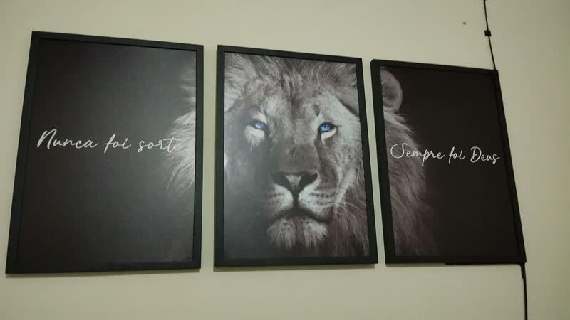 foto de Quadro Decorativo Leão Nunca Foi Sorte Sempre Foi Deus Azul