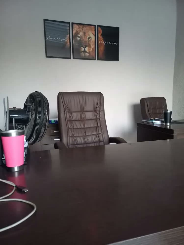 foto de Quadro Decorativo Leão Nunca Foi Sorte Sempre Foi Deus Vidro