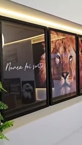 vídeo do produto