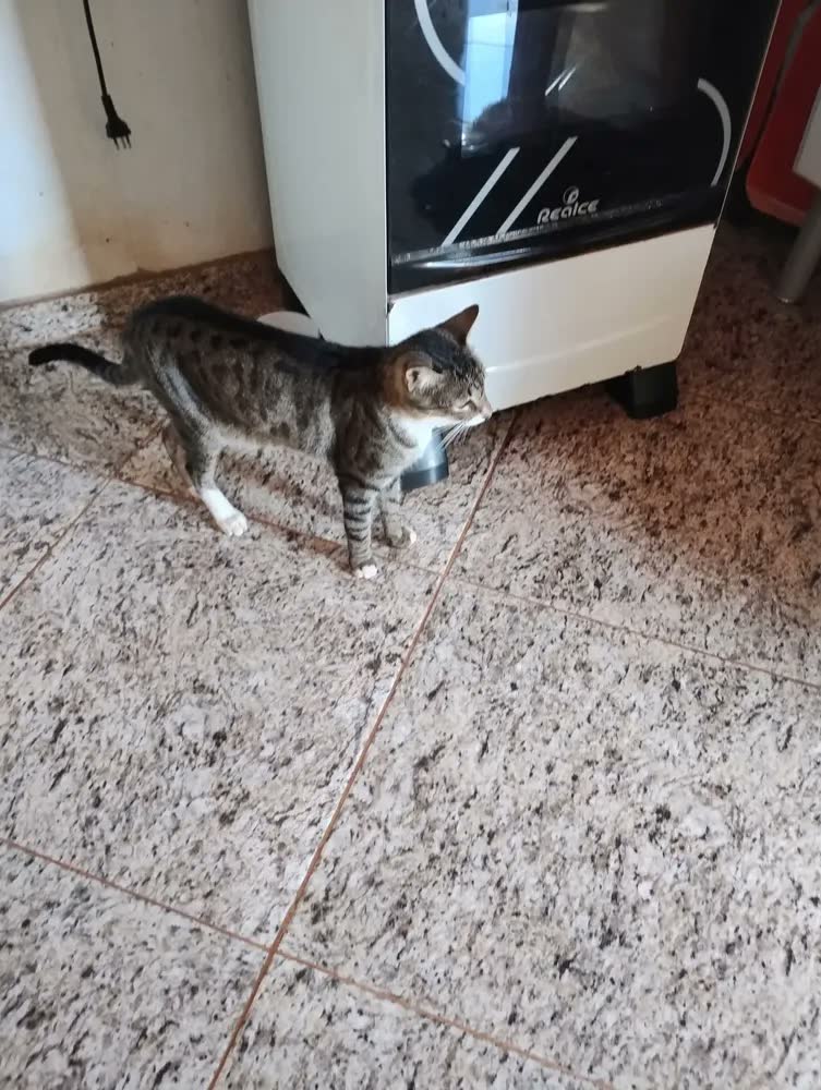 foto de Jogo De Panelas Inox Tramontina Allegra 2 Peças Indução
