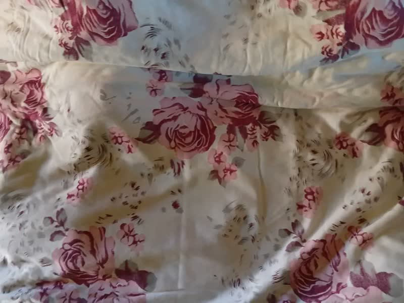 foto de Kit Lençol Queen Elástico E Fronhas Inclusas 100 % Algodão