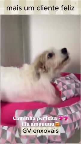vídeo do produto