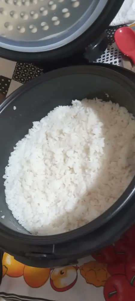 foto de Panela Elétrica de Arroz, Mondial, 700W - PE-46-10X