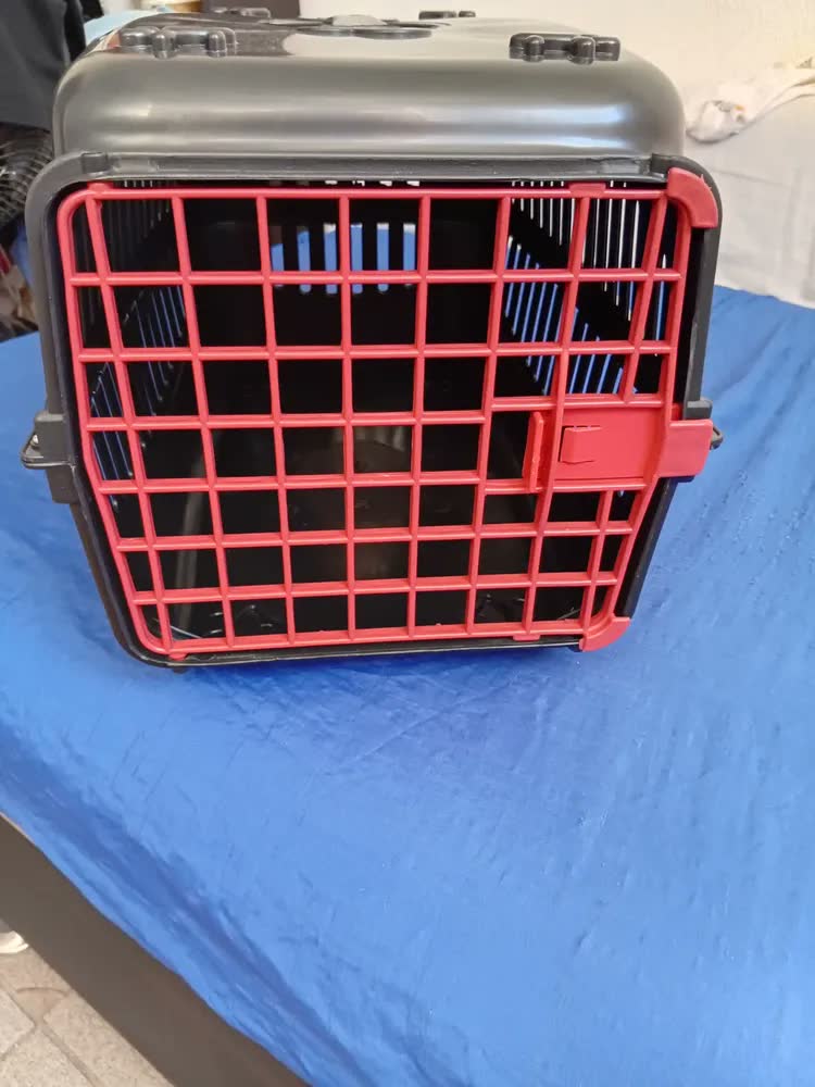 foto de Caixa Transporte Cachorro Gato Rb Pet Porta N3 Pequeno Médio Cor Vermelho