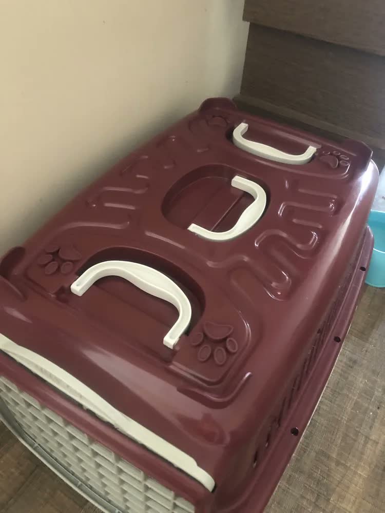 foto de Caixa De Transporte Para Cães Gatos Mais Dog N.04 Vinho