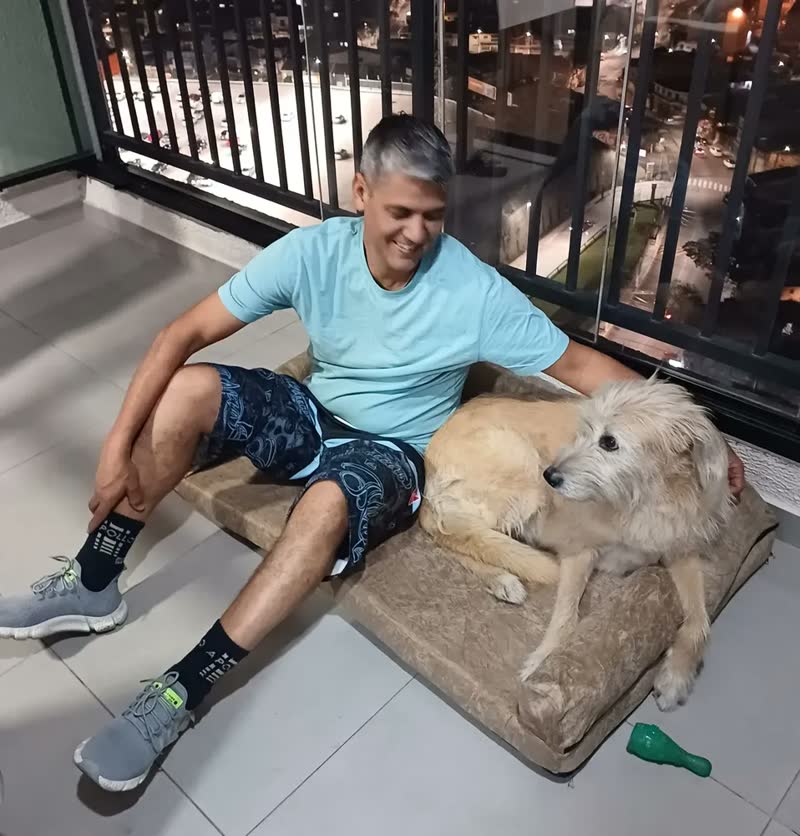 foto de Pet Querido Sofá Cama Ortopédico 120x80cm Lavável