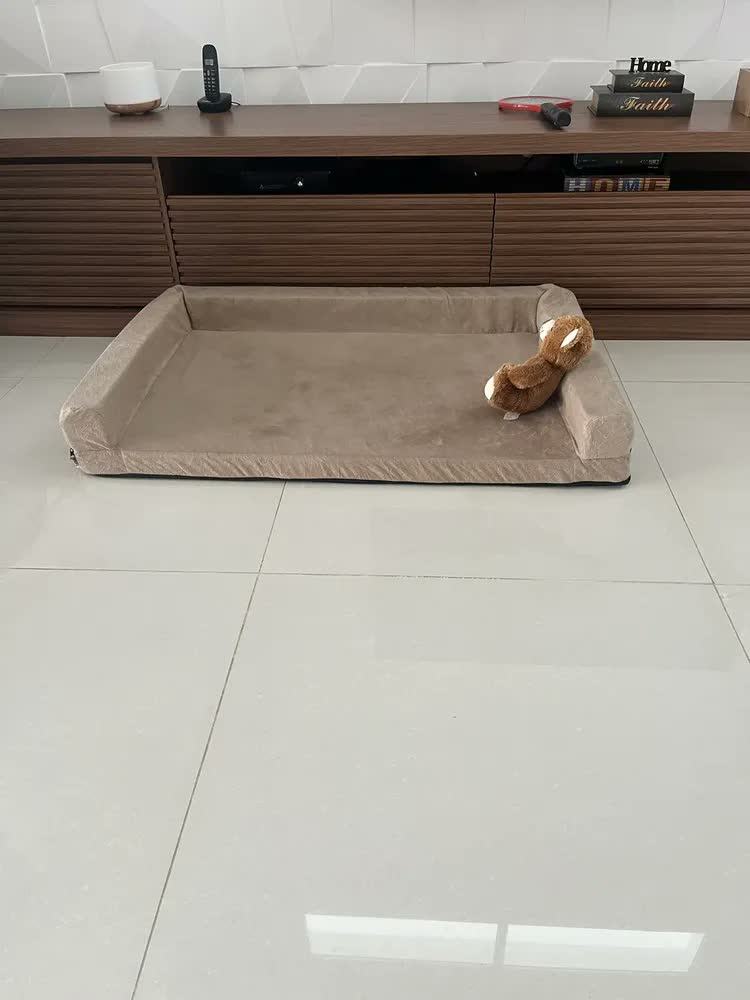 foto de Cama Pet Querido Sofá Cama Ortopédica 120x80cm Lavável