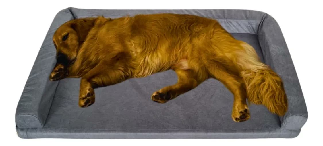 foto de Cama Pet Querido Sofá Cama Ortopédica 120x80cm Lavável