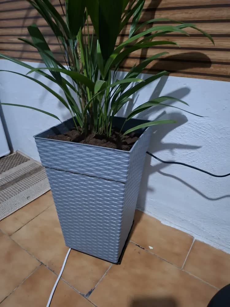 foto de Vaso De Plantas Decorativo Rattan 10l Casa Luxo Flores Sala