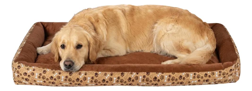 Cama Para Cachorro Grande Cama Pet Xg Gigante Impermeável
