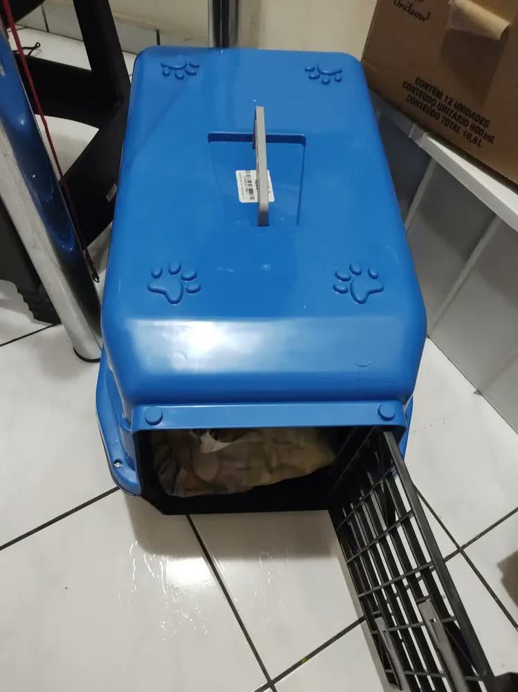 foto de Caixa De Transporte Cães Gato Coelho Porte N5 Vermelho