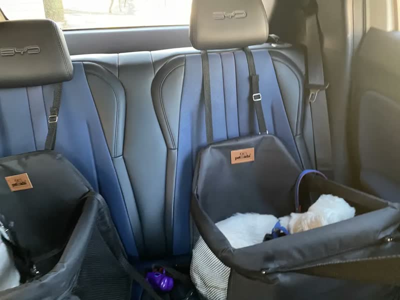 foto de Cadeira Para Pet Assento Carro Seguro Até 15kg Ganhe Coleira