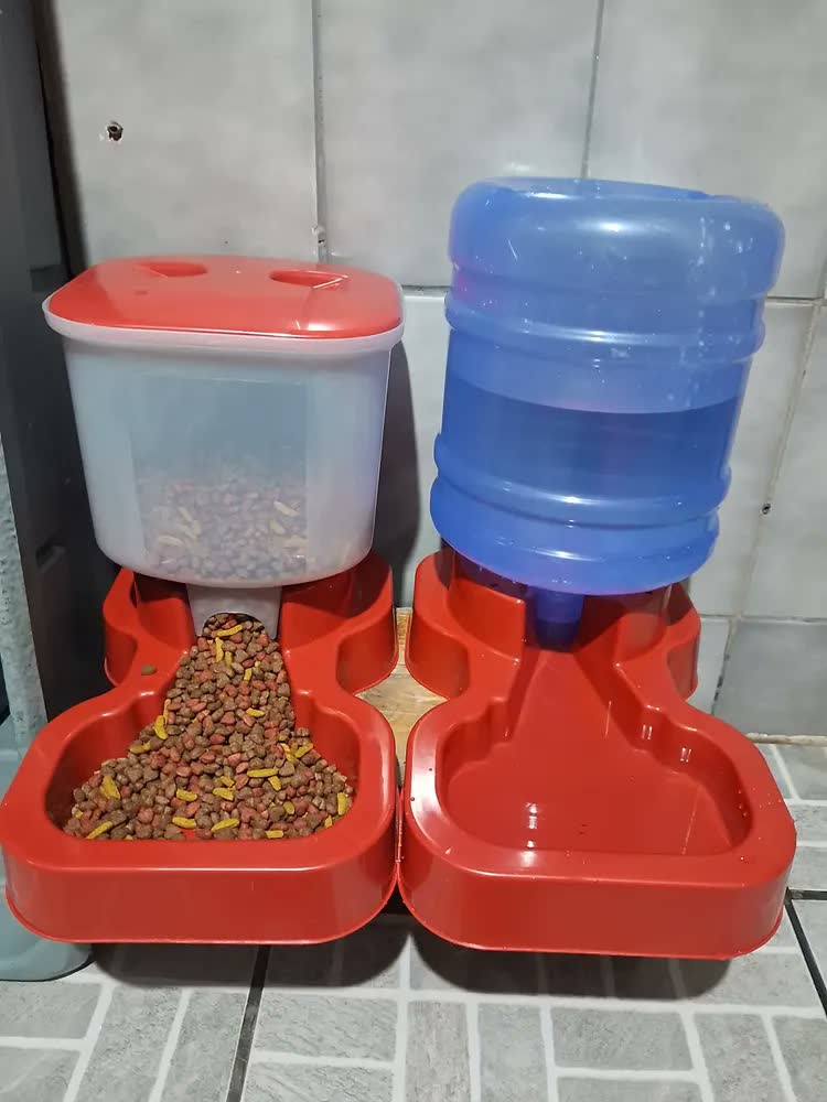foto de Bebedouro Automático Grande Porte 10l/20l - Vermelho