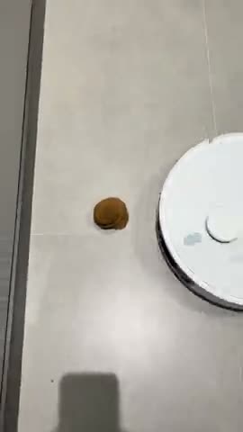 vídeo do produto