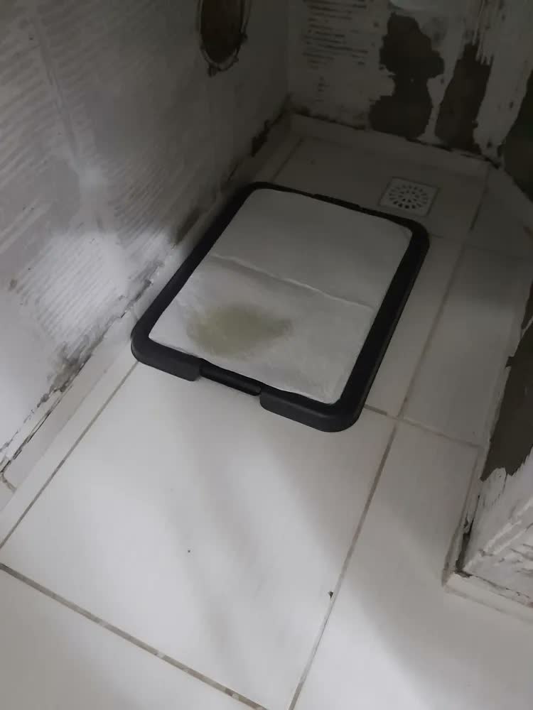 foto de Sanitário canino pet tapete higiênico sanitário pet cães e gatos xixi lavável