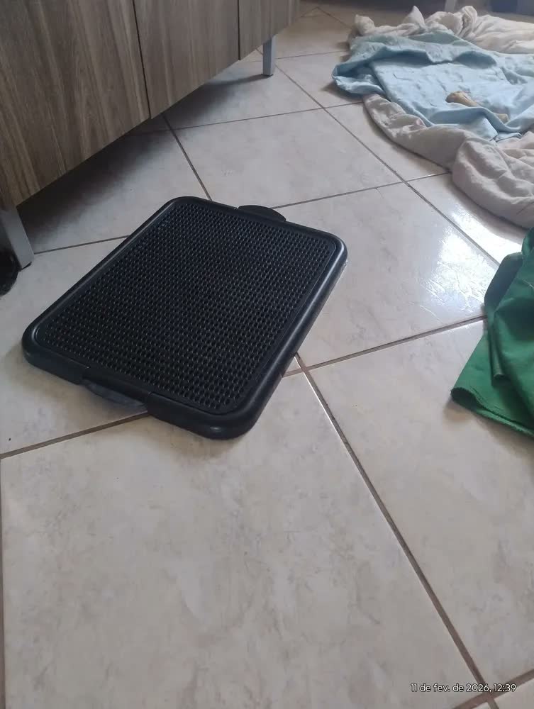 foto de Sanitário canino pet tapete higiênico sanitário pet cães e gatos xixi lavável