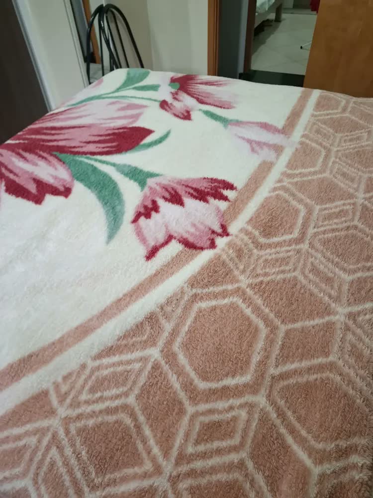 foto de Cobertor Casal Antialérgico Kyor Plus Jolitex - Mônaco