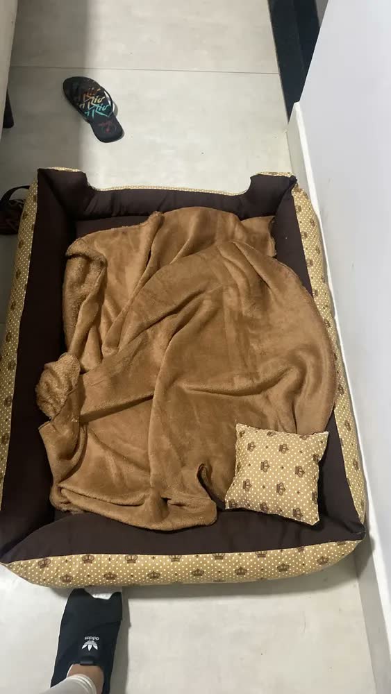 foto de Cama Para Cachorro Grande Até 28kg Caminha 70x80 Com Manta Cor marrom coroa