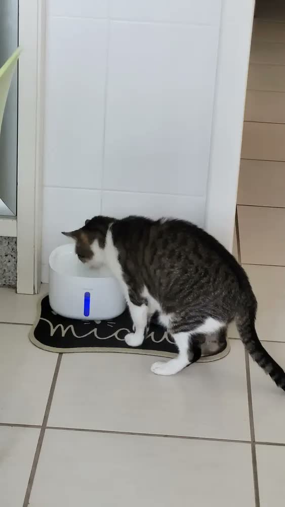 foto de New Pet sensor sem fio bebedouro fonte para gato cão 2.6L NP888