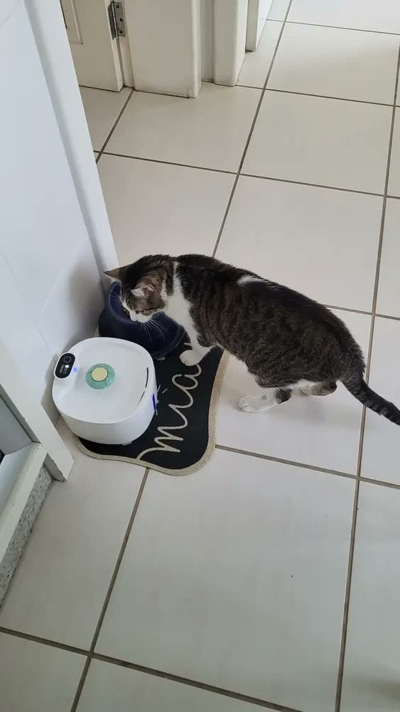 foto de New Pet sensor sem fio bebedouro fonte para gato cão 2.6L NP888