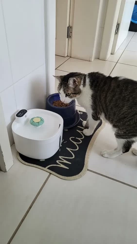 foto de New Pet sensor sem fio bebedouro fonte para gato cão 2.6L NP888