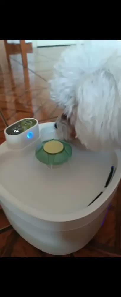foto de New Pet sensor sem fio bebedouro fonte para gato cão 2.6L NP888