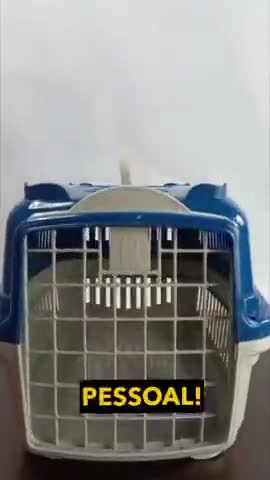 vídeo do produto
